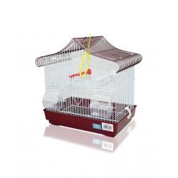 JAULA MALLORCA (274)