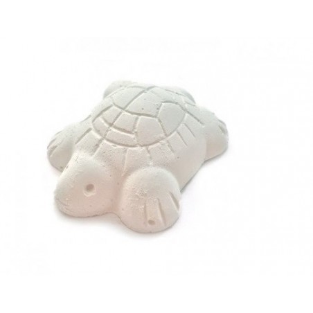 CALES COMPUESTAS TORTUGAS "VER"