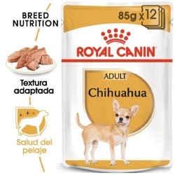 ROYAL CANIN CHIHUAHUA ADULT SOBRES 12x85g
