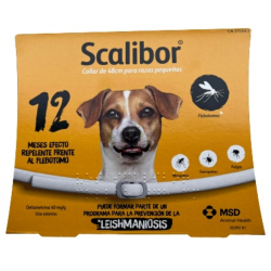 SCALIBOR 12 MESES ''DTO....