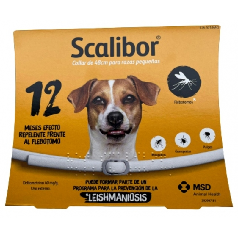 SCALIBOR 12 MESES ''DTO. VOL.''