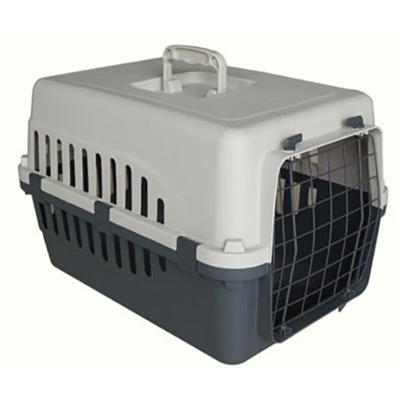 TRANSPORTIN ECONOMICO