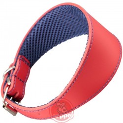 COLLAR GALGO AMAZONE
