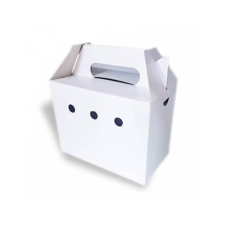 TRANSPORTIN CARTÓN PEQUEÑO "DTO. VOL."