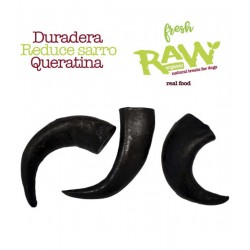 CUERNOS DE BÚFALO...