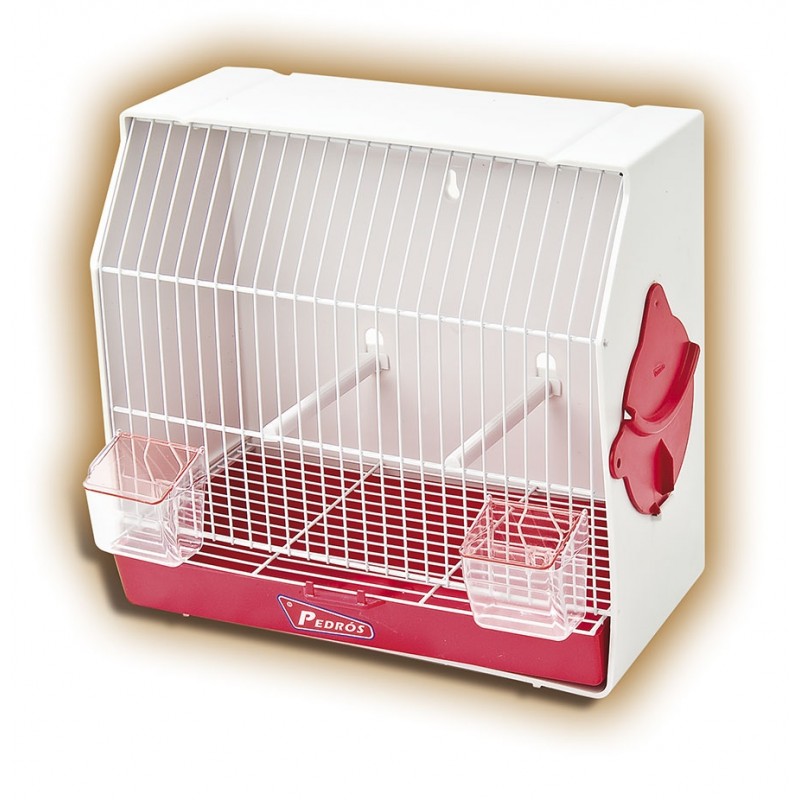 JAULA CURIOSA (PEDRÓS)