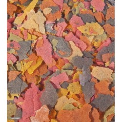 COMIDA PECES AGUA FRÍA