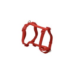 ARNES BASIC EN H NAYECO