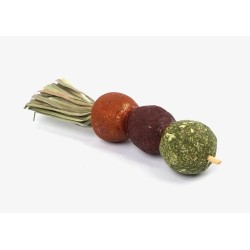 SNACK BROCHETA ROEDORES (9053)