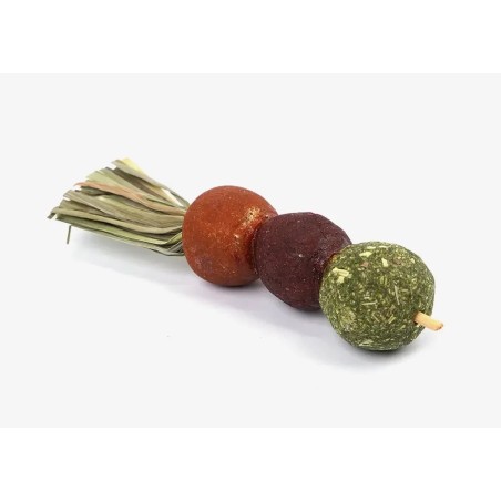 SNACK BROCHETA ROEDORES (9053)